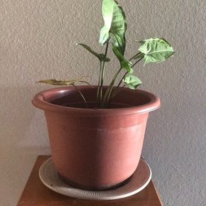 Meet your Posher, Olga